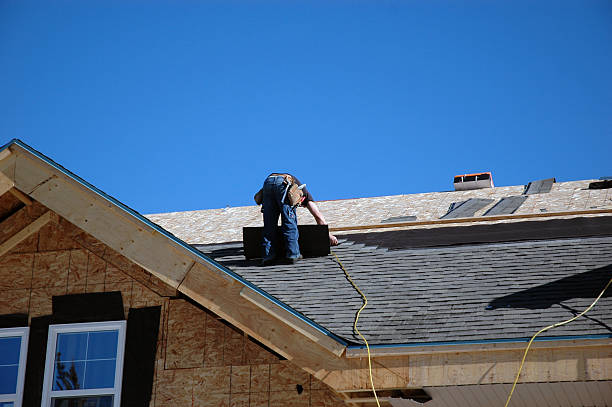 Best Roof Moss and Algae Removal  in Mitchell, SD